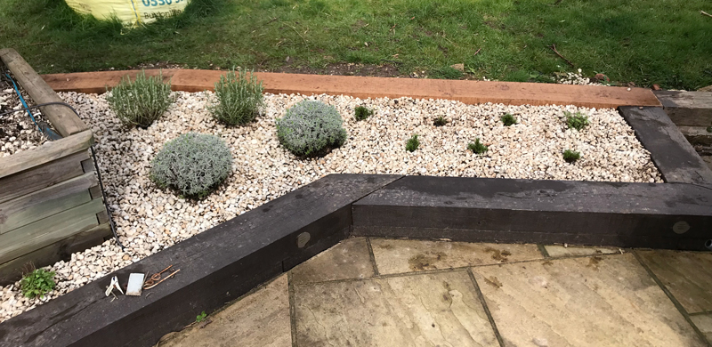 Garden Designer in Essex and Suffolk