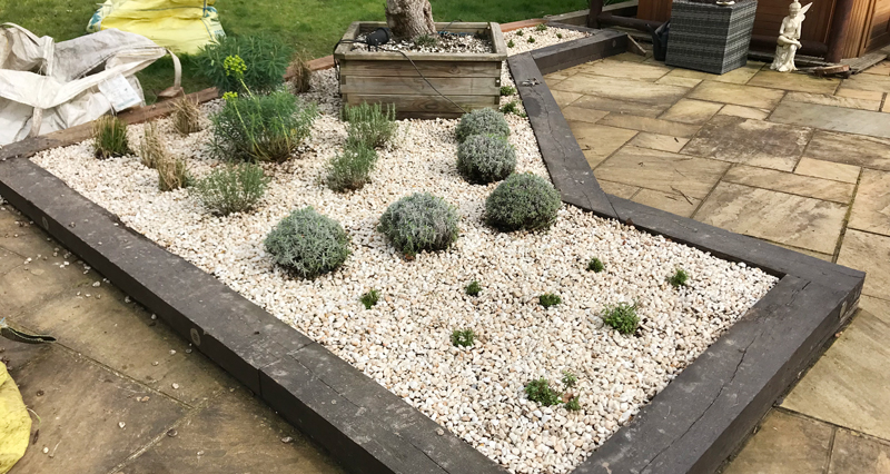 Garden Designer in Essex and Suffolk