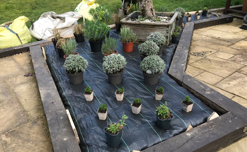 Garden Designer in Essex and Suffolk