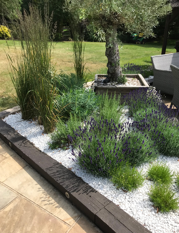 Garden Designer in Essex and Suffolk